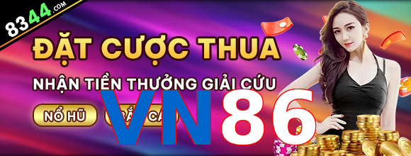 VN86