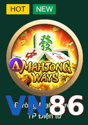 VN86